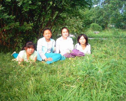 2006  (80)